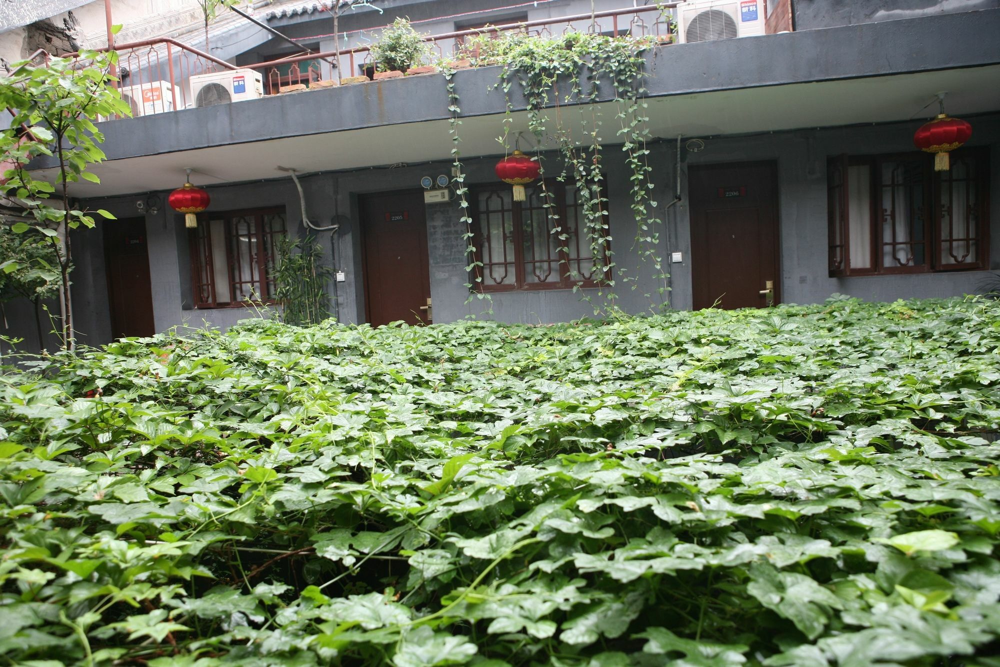 Shuyuan Youth Hostel Xi'An Xian Exterior foto